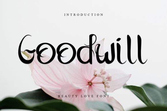 Goodwill: A Trendy Font for Instant Visual Appeal